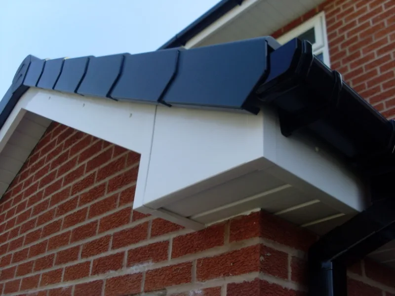 Protecting your Swansea roofline from the elements