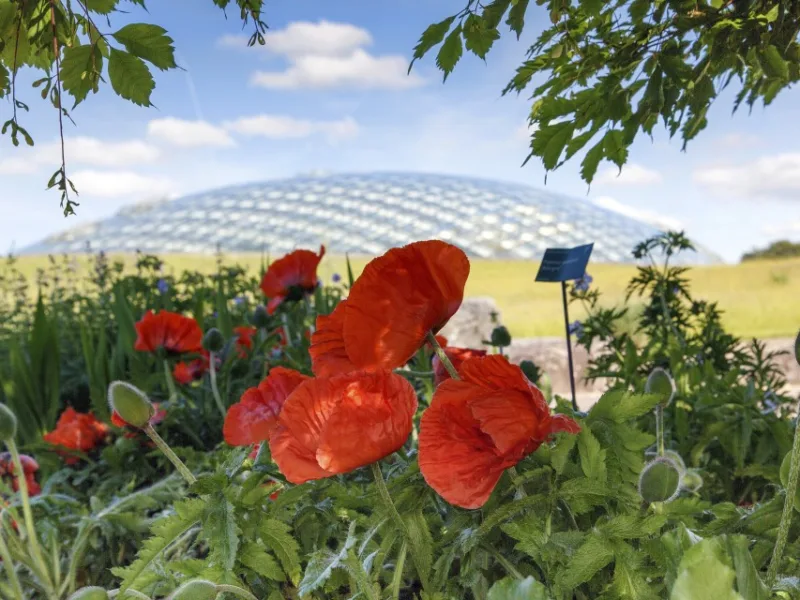 Plan A Day Out: National Botanic Garden of Wales