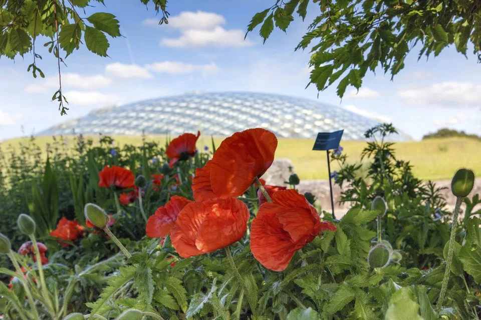 Plan A Day Out: National Botanic Garden of Wales